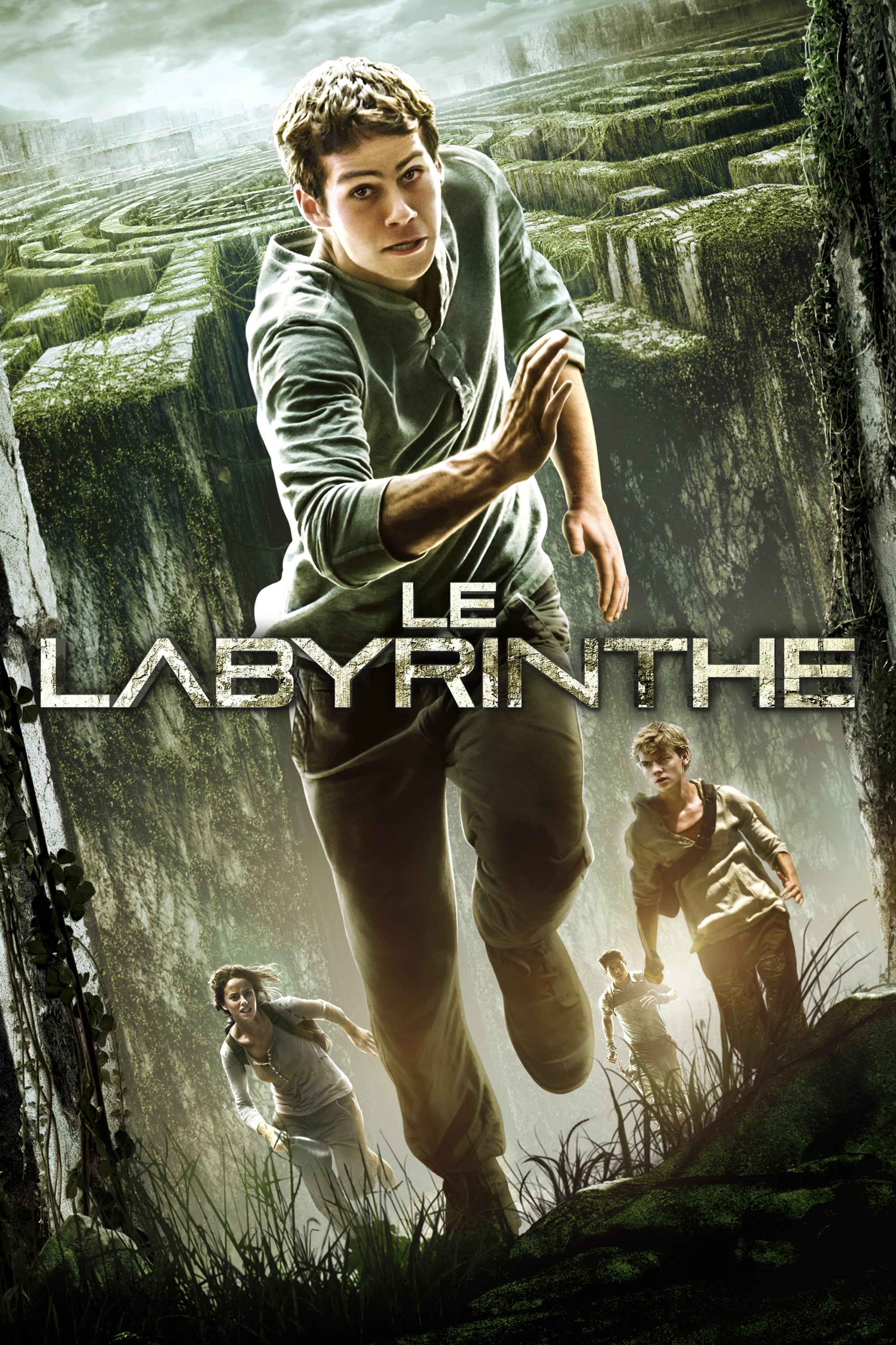 Affiche du film Le Labyrinthe 25104