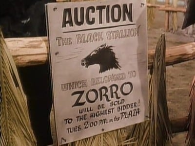 Image El Zorro 1