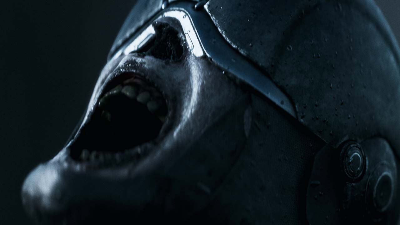 SJOR | Rise of the North