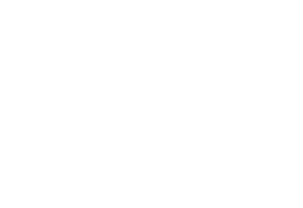 Animal Practice Logo
