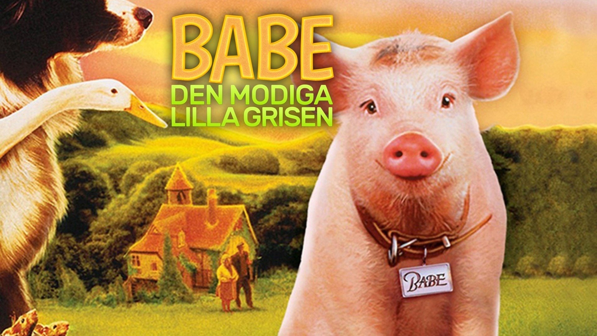 Babe (1995)