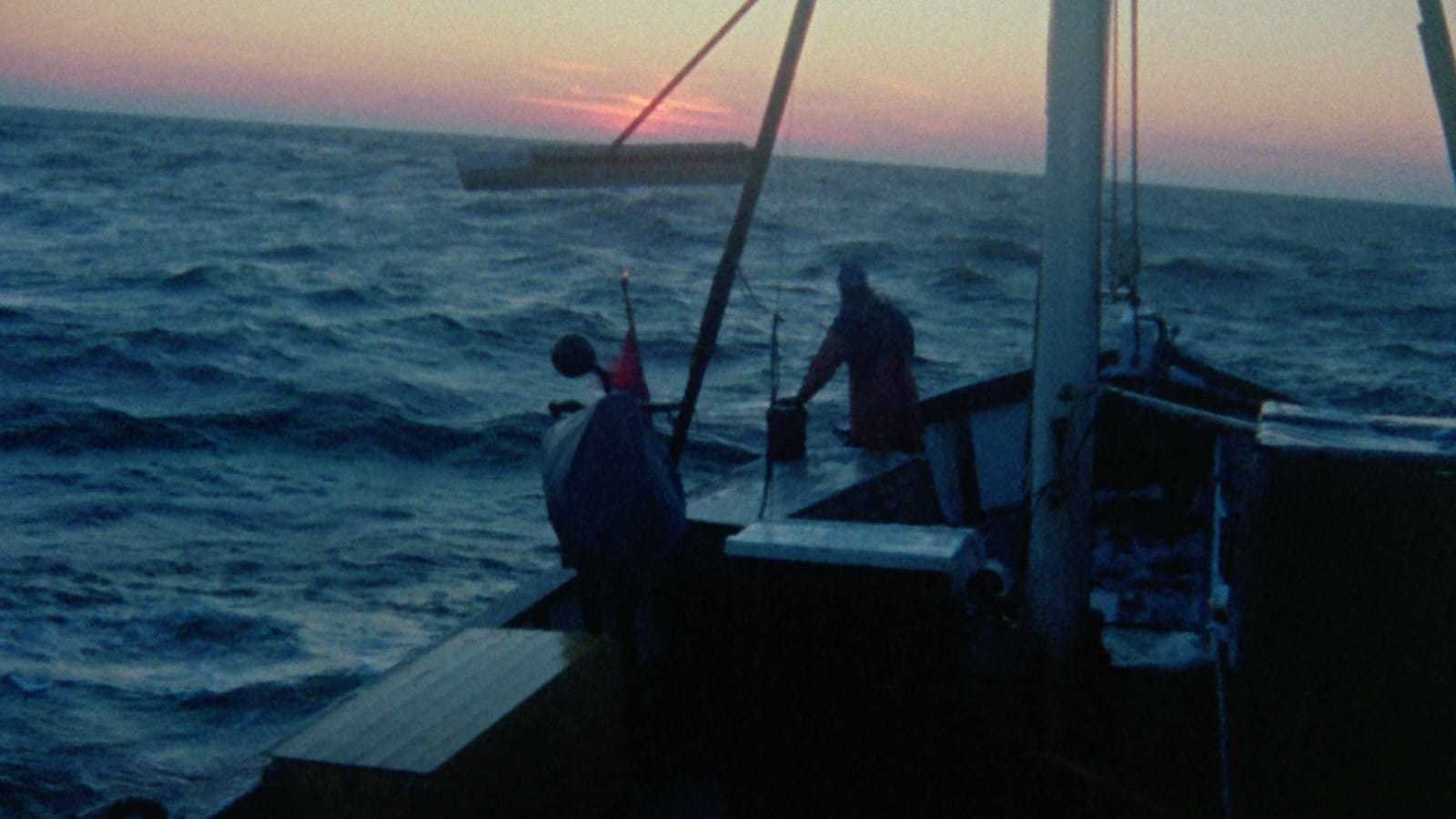 Image du film Mon île, Farö aclk94hezp98inczpztl0a3fl2ijpg