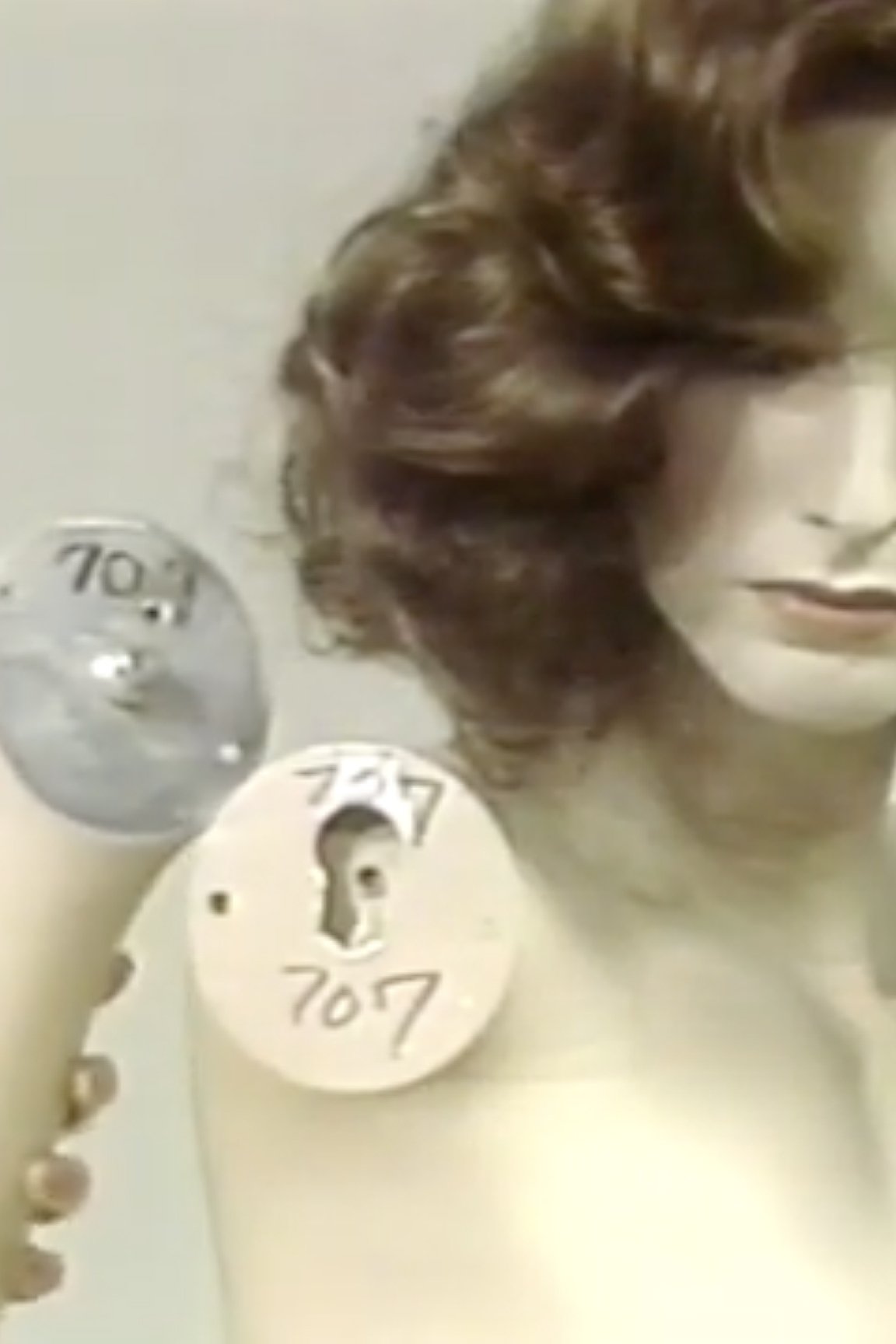 How to Dress Mannequins Poster