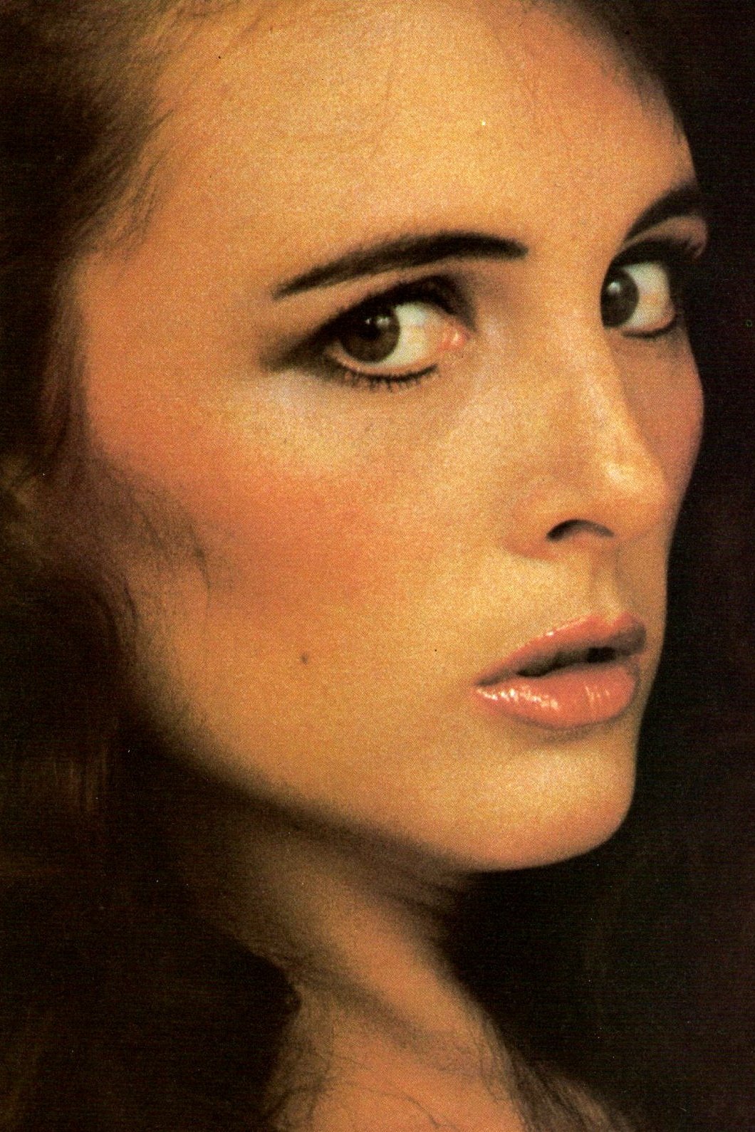 et billede af Laurie Smith