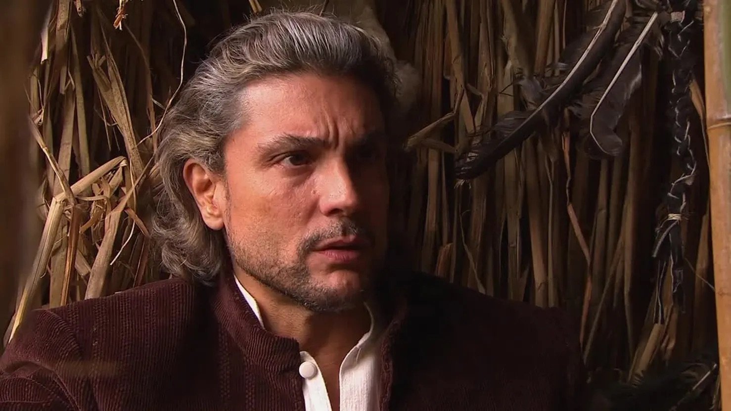 Zorro: La espada y la rosa