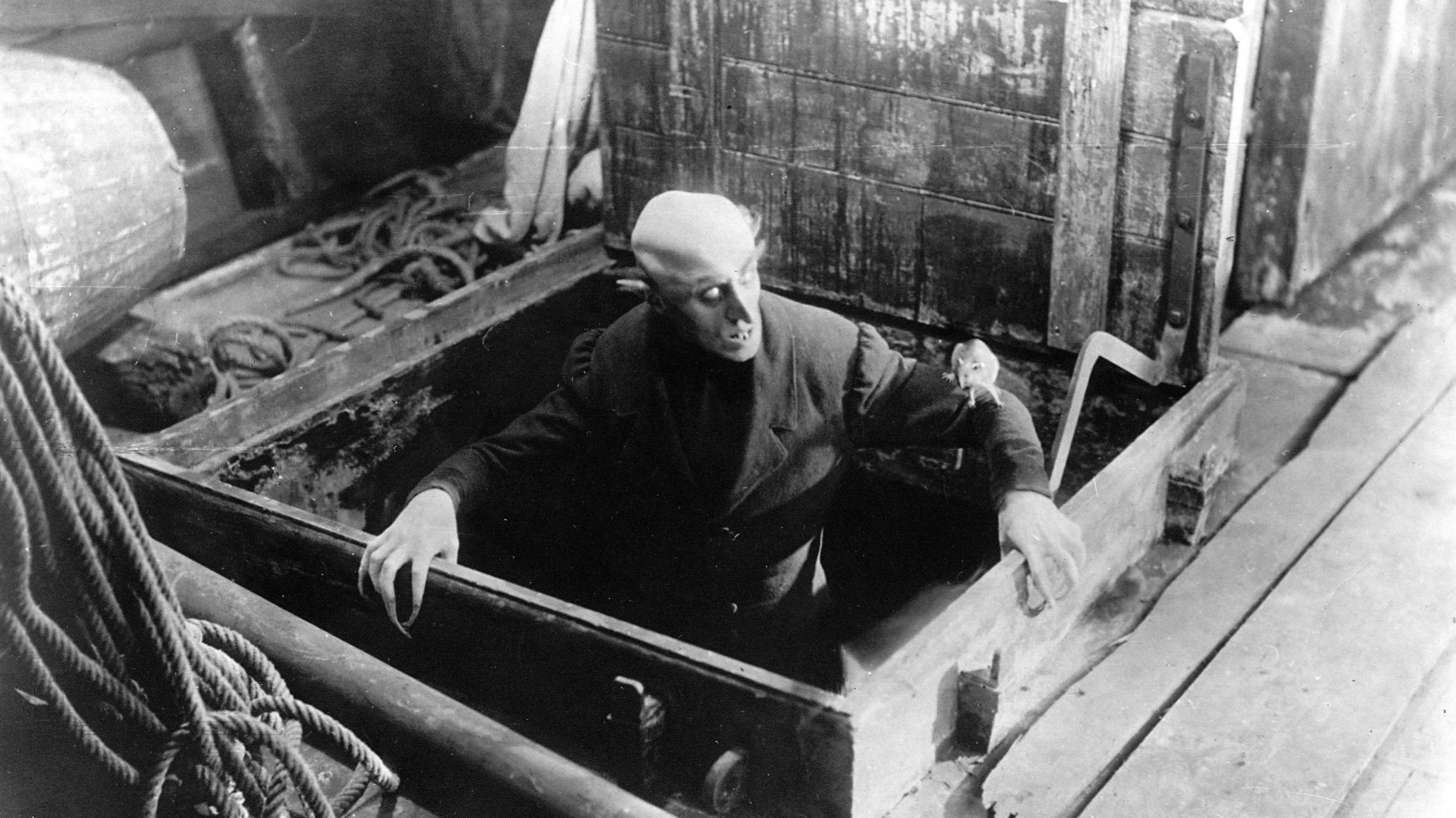 Nosferatu, eine Symphonie des Grauens