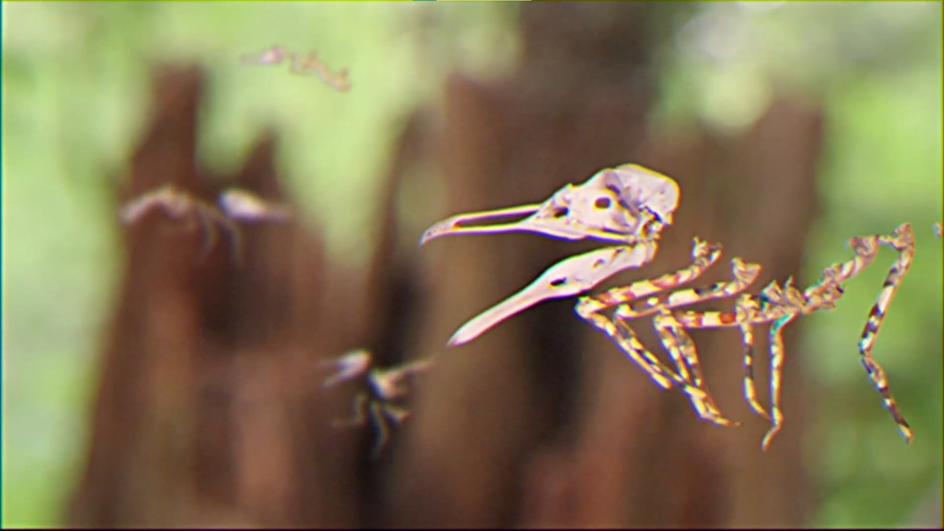 Imagem do Filme Bestiary Unknown