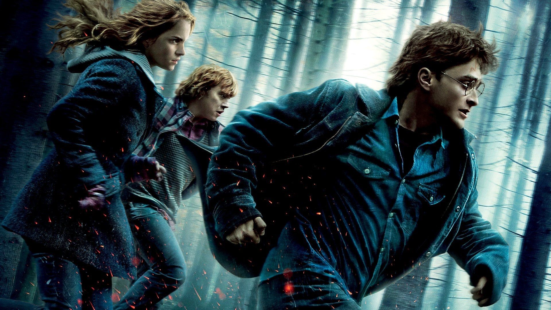 Harry Potter y las Reliquias de la Muerte - Parte 1 (2010)