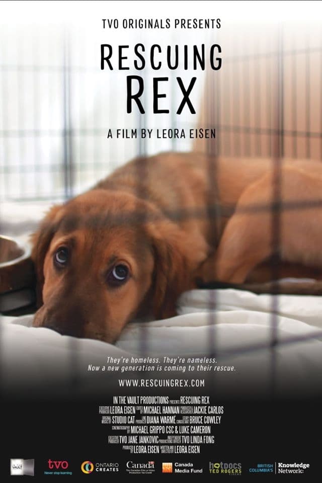 Rescuing Rex on FREECABLE TV