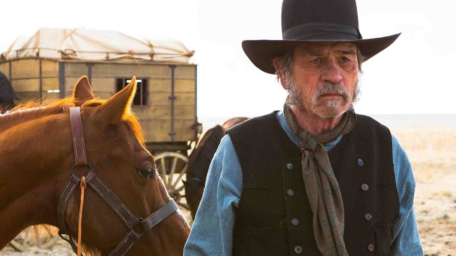 The Homesman (2014)