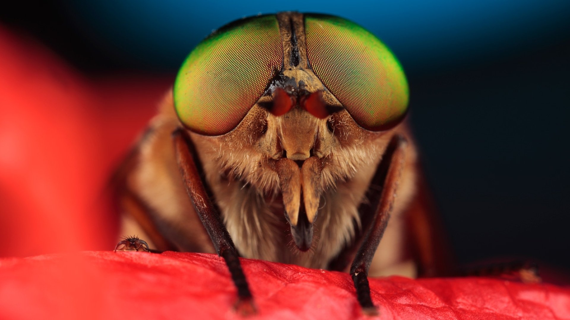 Thumbnail for The Secret to Their Success Season 1 Episode 16