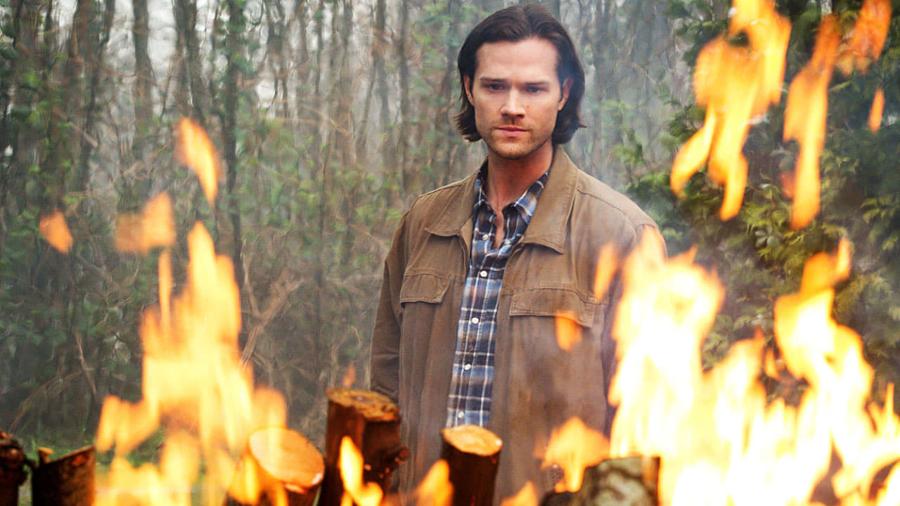 Supernatural Season 10 :Episode 22  The Prisoner