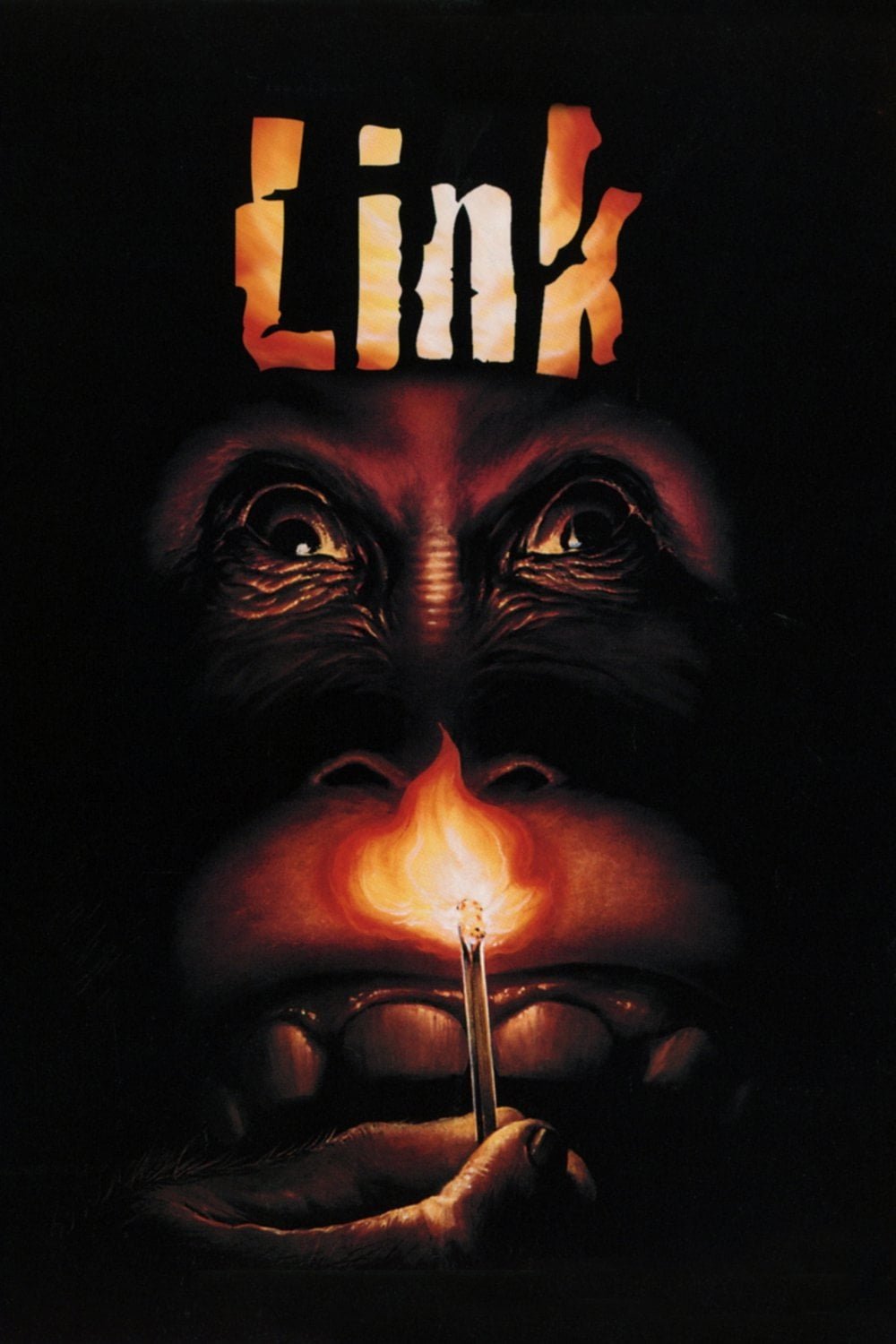Link