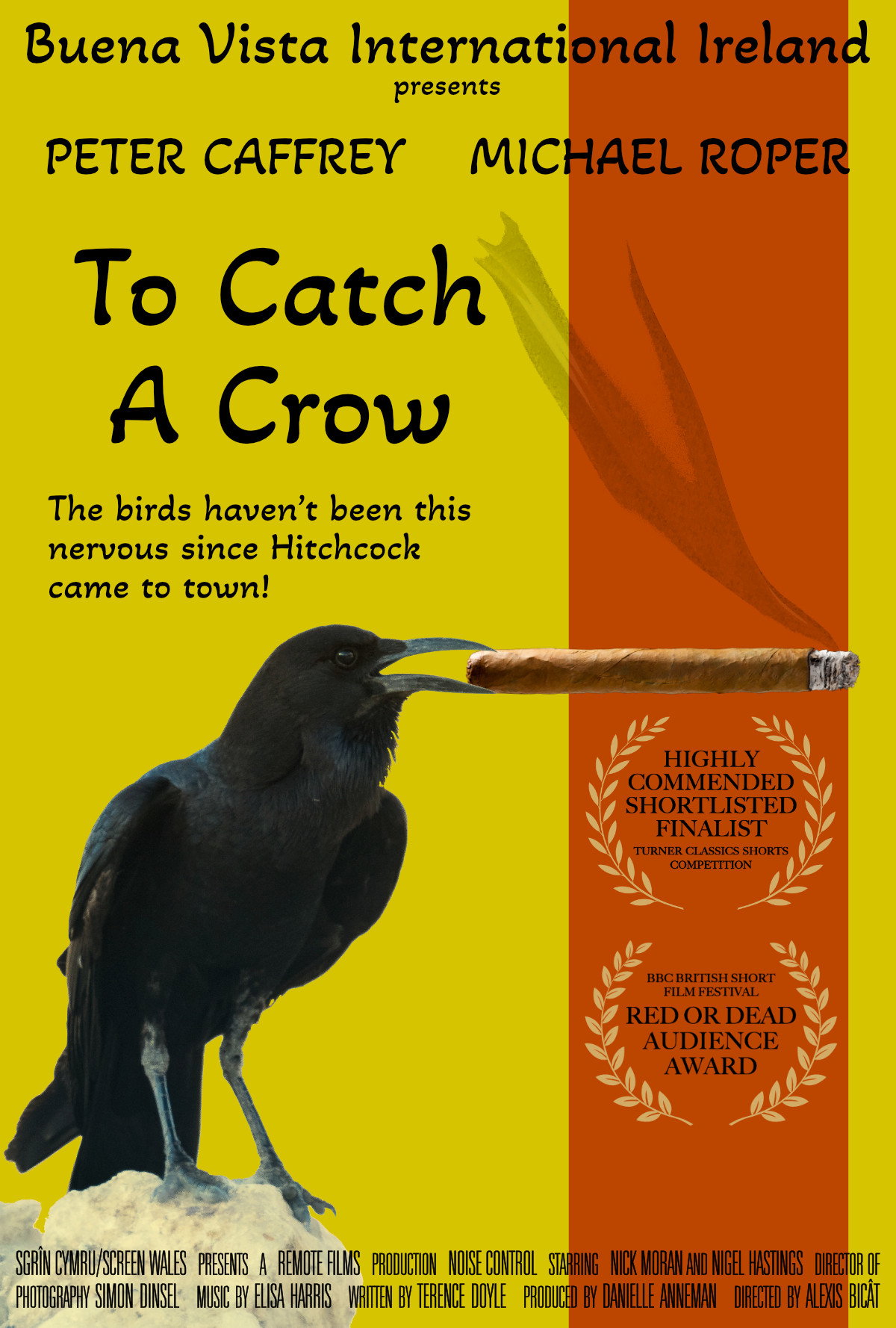 To Catch a Crow (2000) movie poster