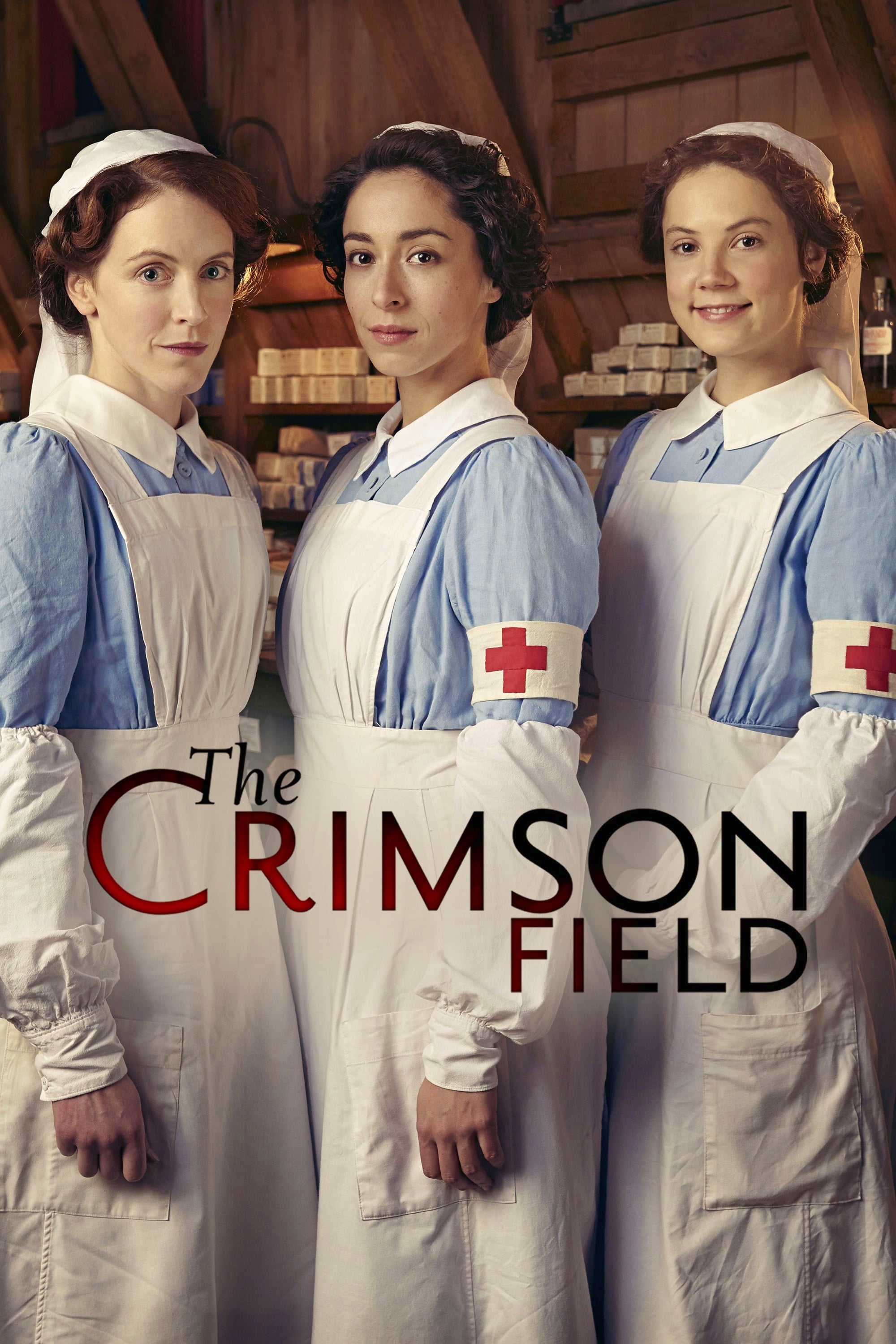 The Crimson Field TV Shows About Nurse
