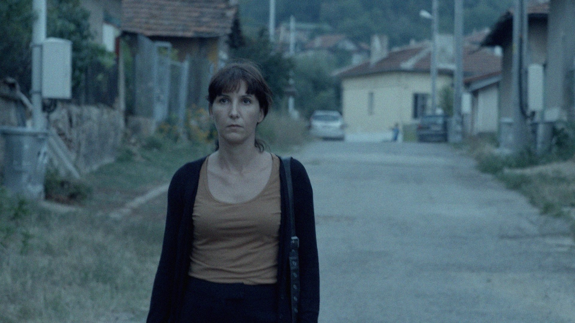 The Lesson (2014)