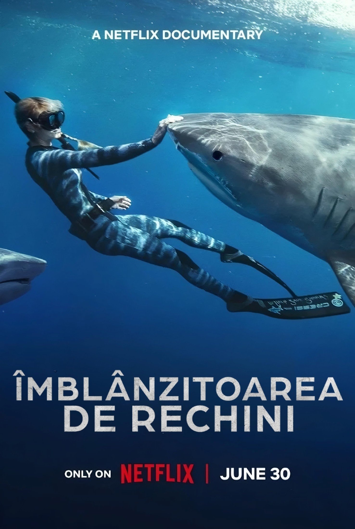 Shark Whisperer