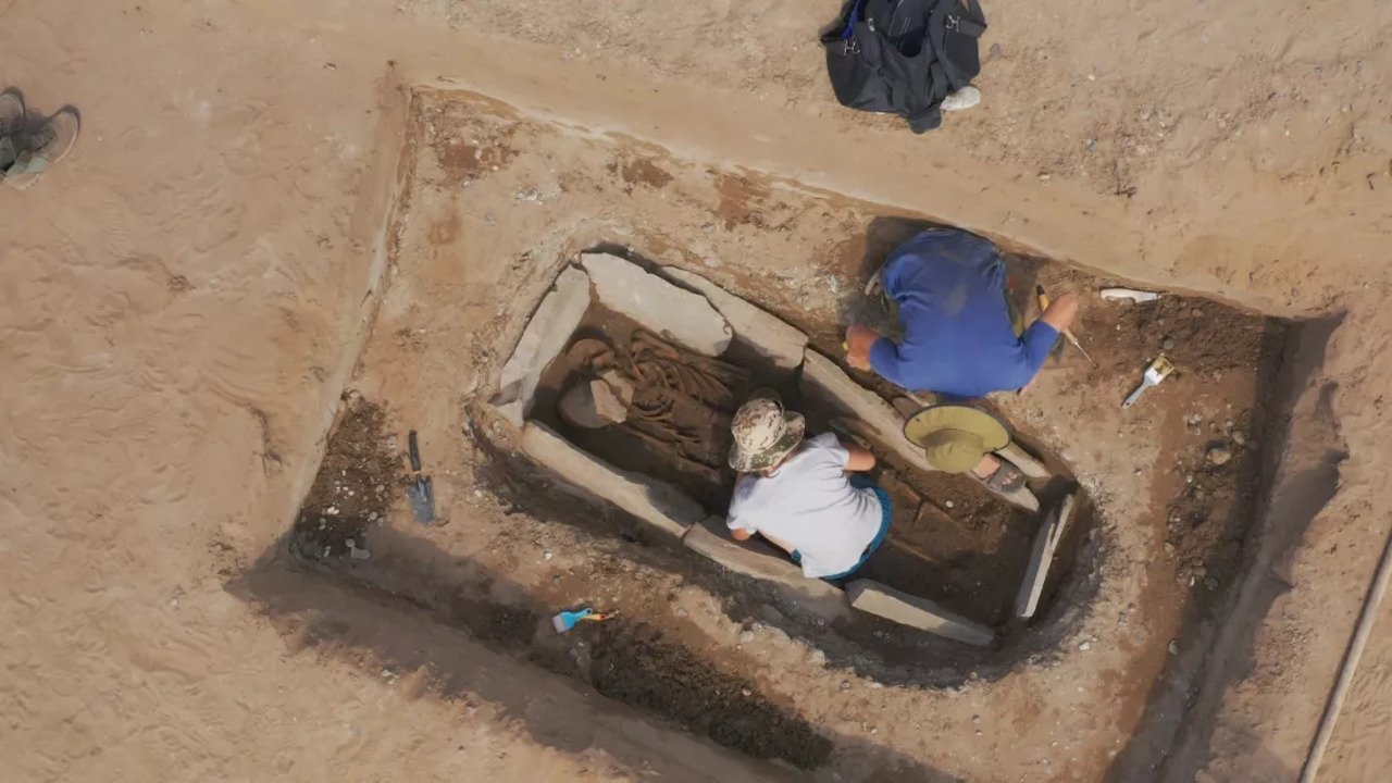 Amazones, femmes guerrières de l'Antiquité (2024)