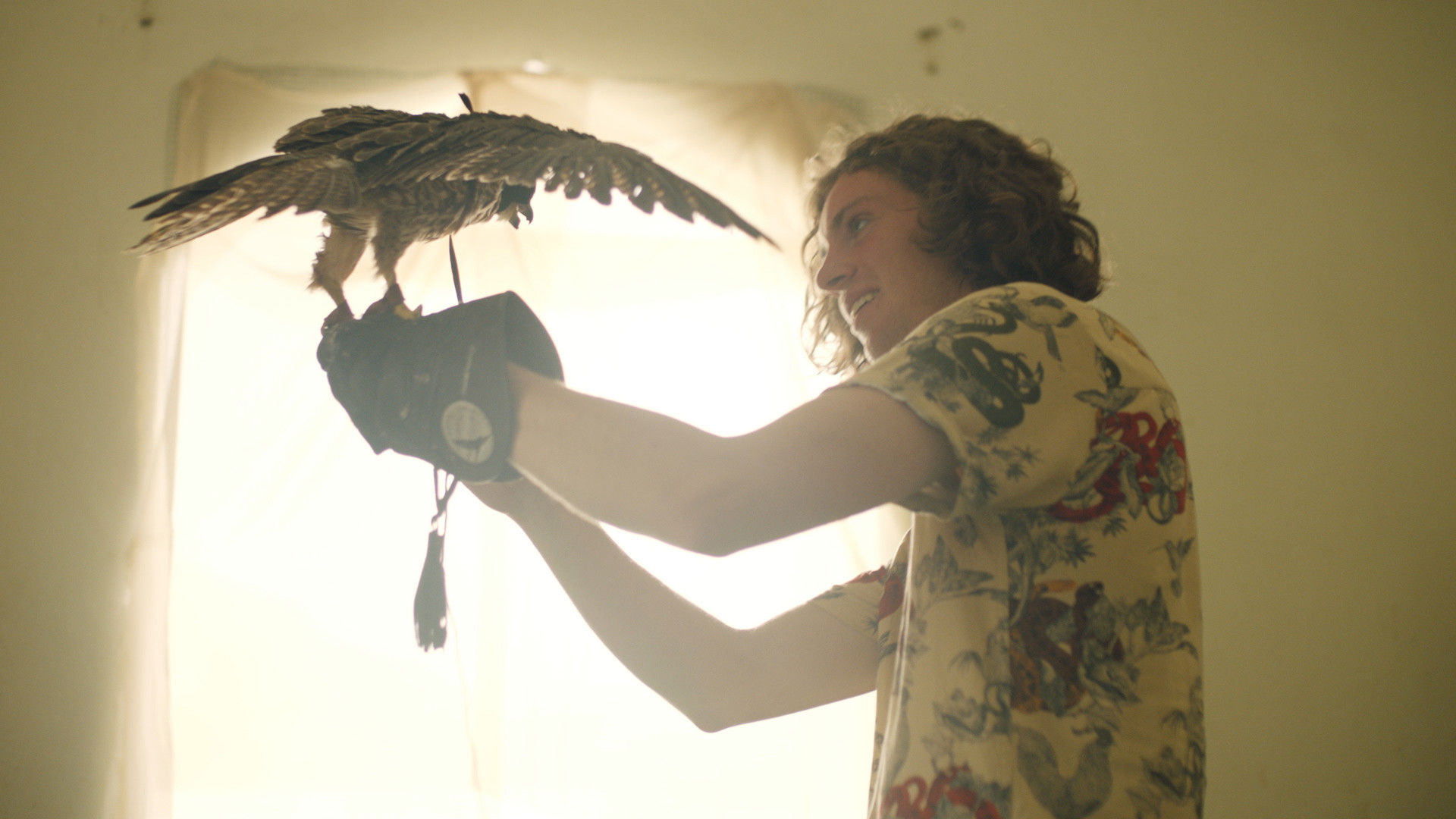 The Falconer (2021)