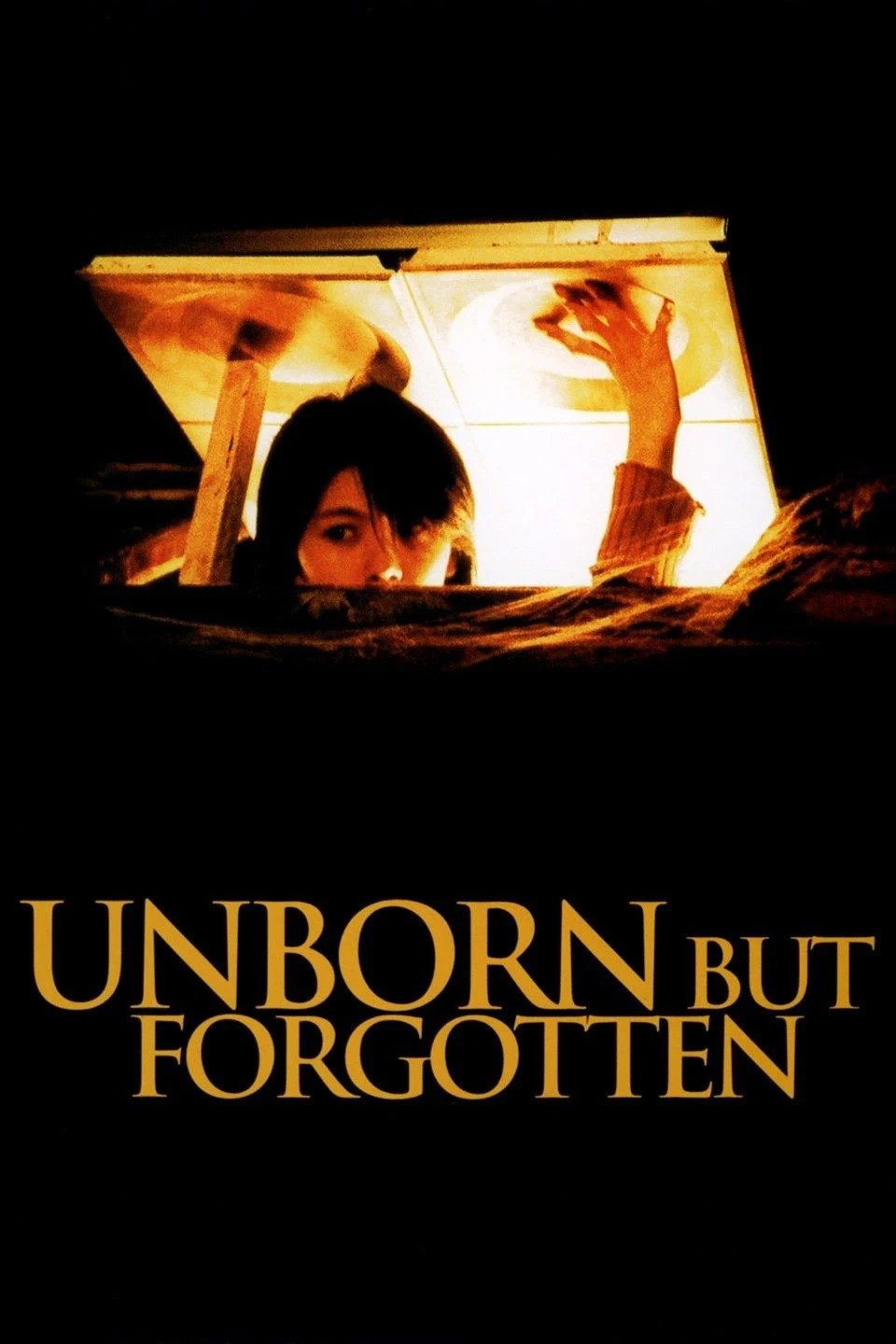 Unborn but Forgotten Poster
