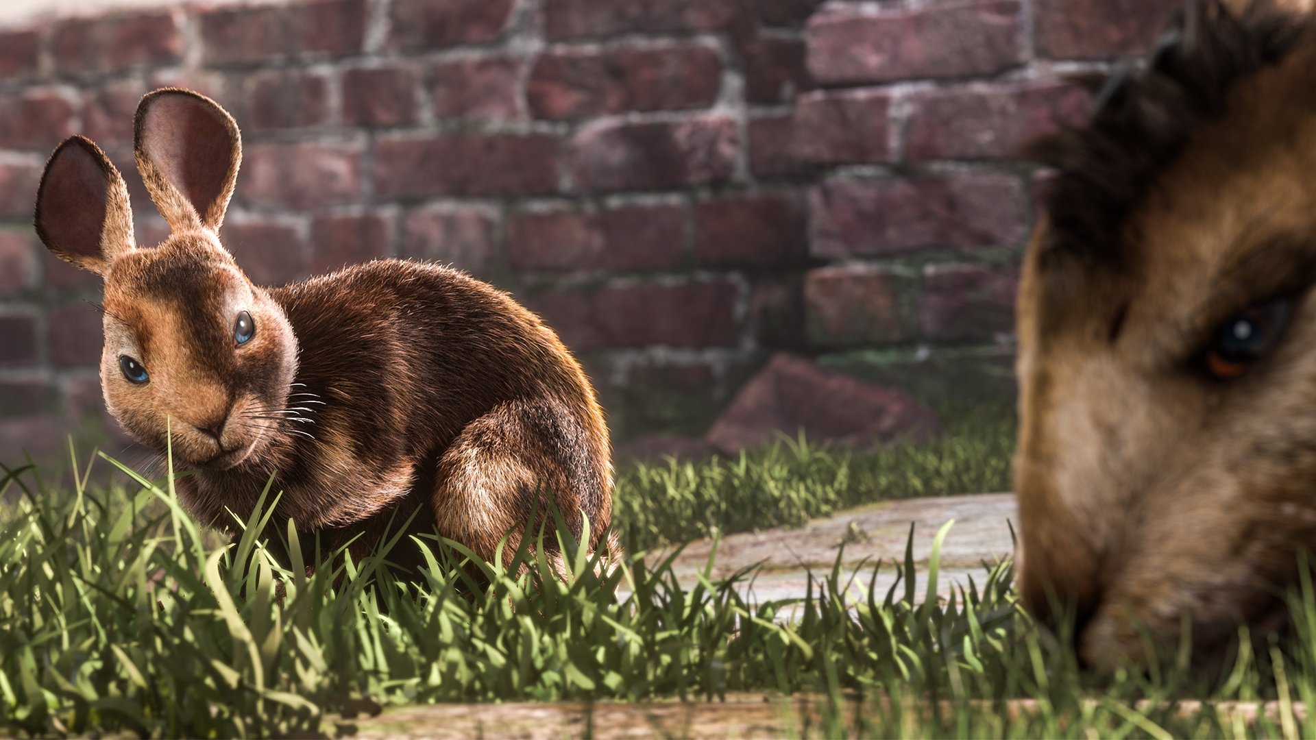 Watership Down