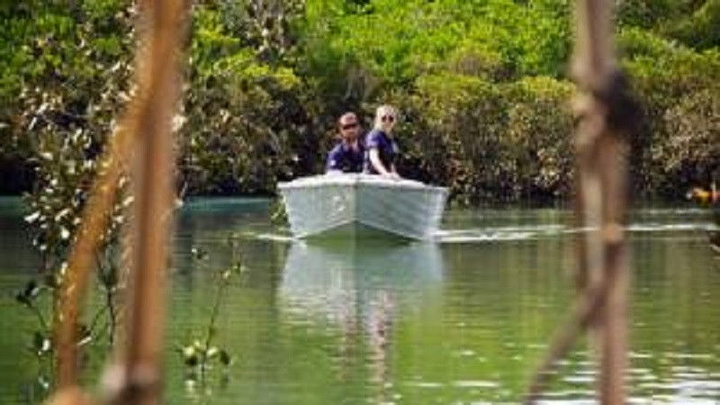 Aussie Salvage Squad S04E08 backdrop