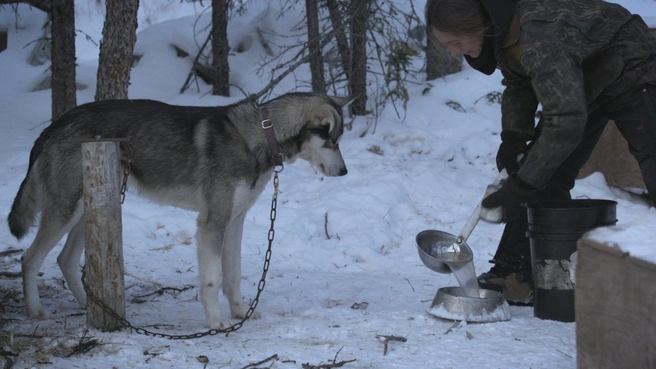 Life Below Zero