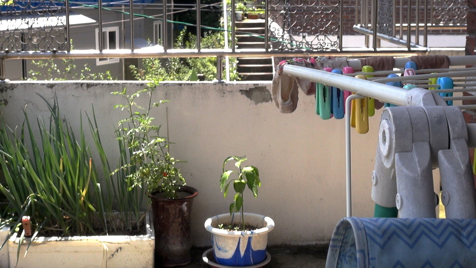 Who Does the Chores?​