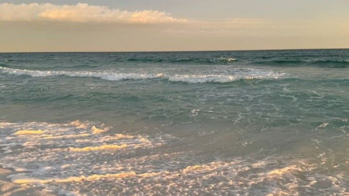 Erie Beach : The Next Chapter 1x1