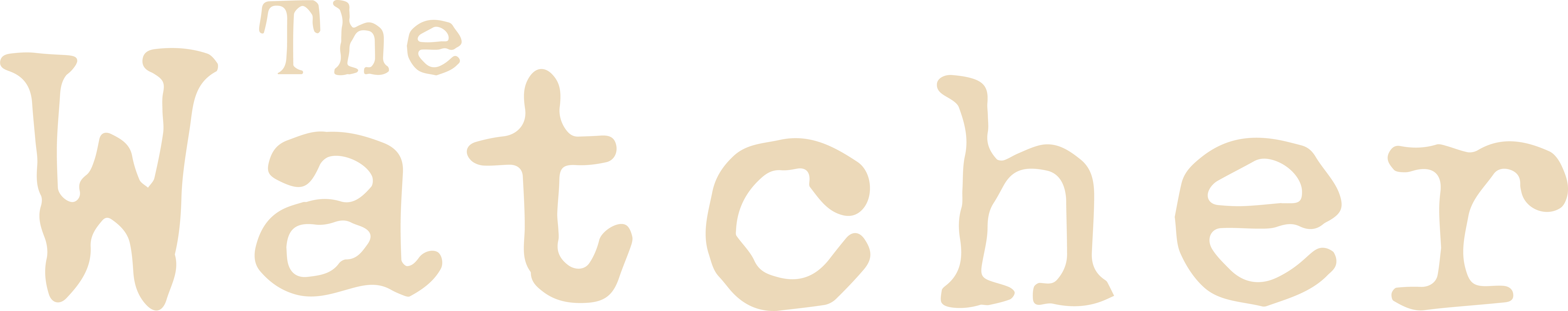 The Watcher Logo