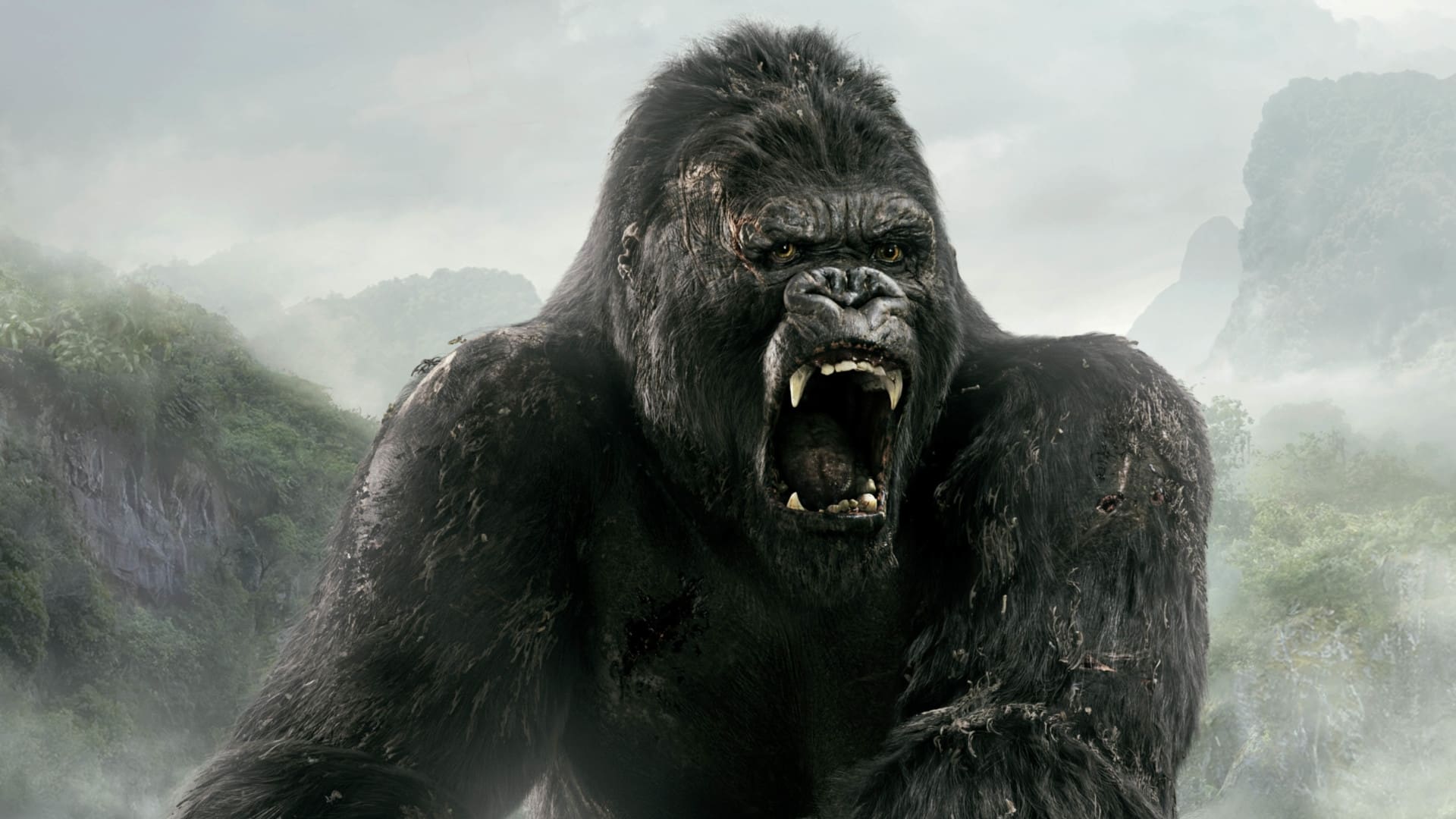 Image du film King Kong anohbjl38ydaaoo5gcbn4gbc0vfjpg