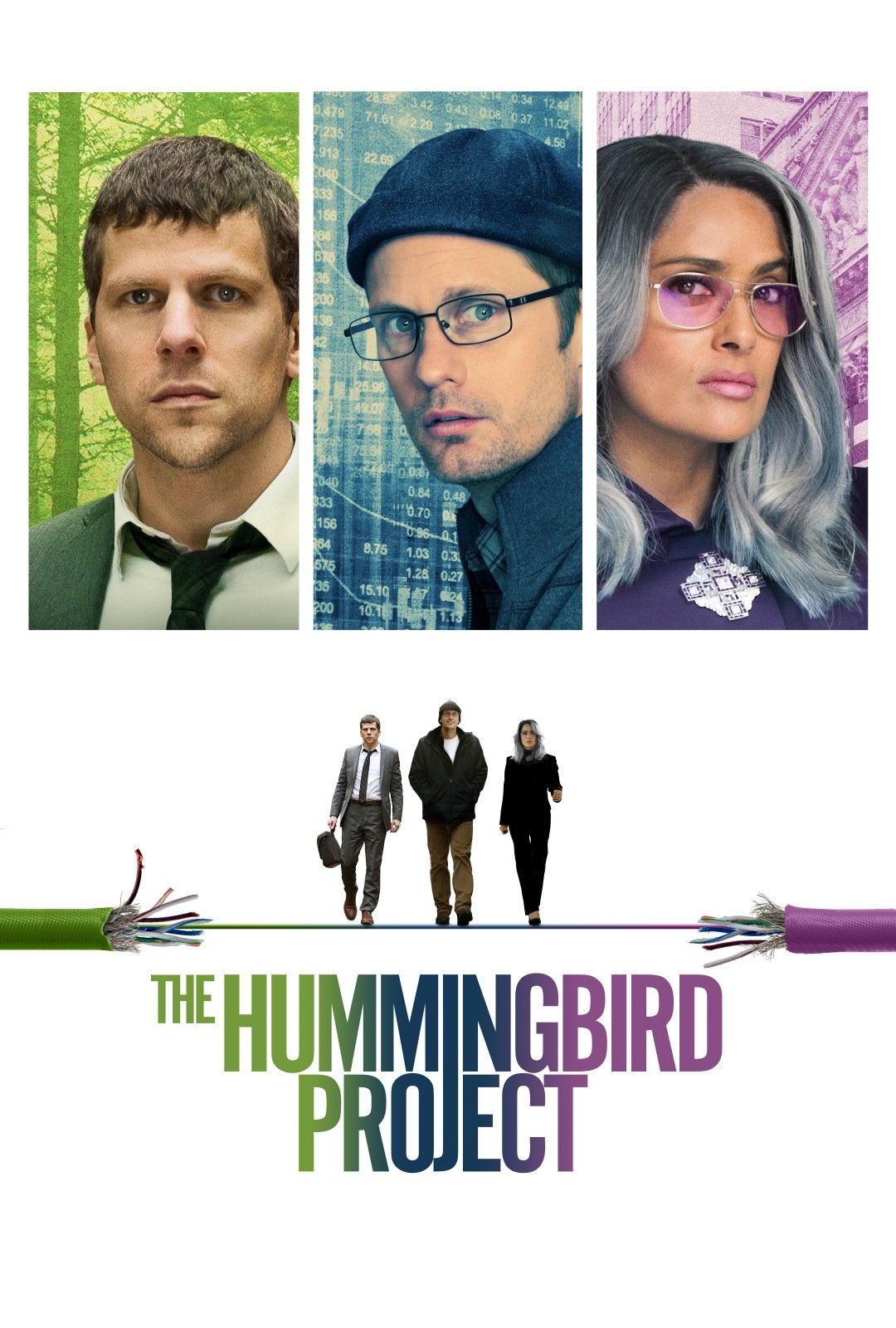 The Hummingbird Project