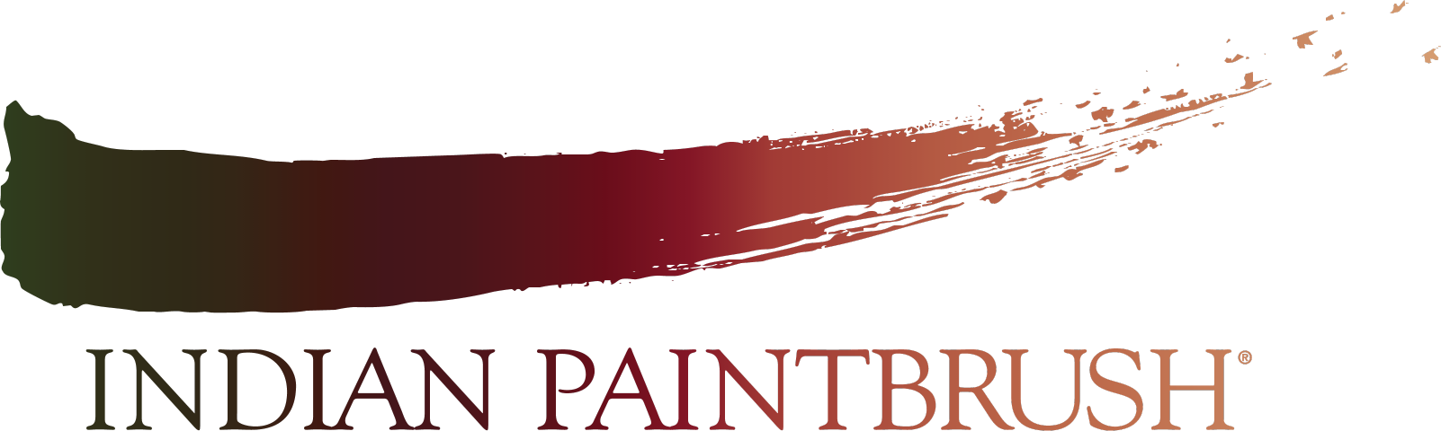 Logo de la société Indian Paintbrush 5336