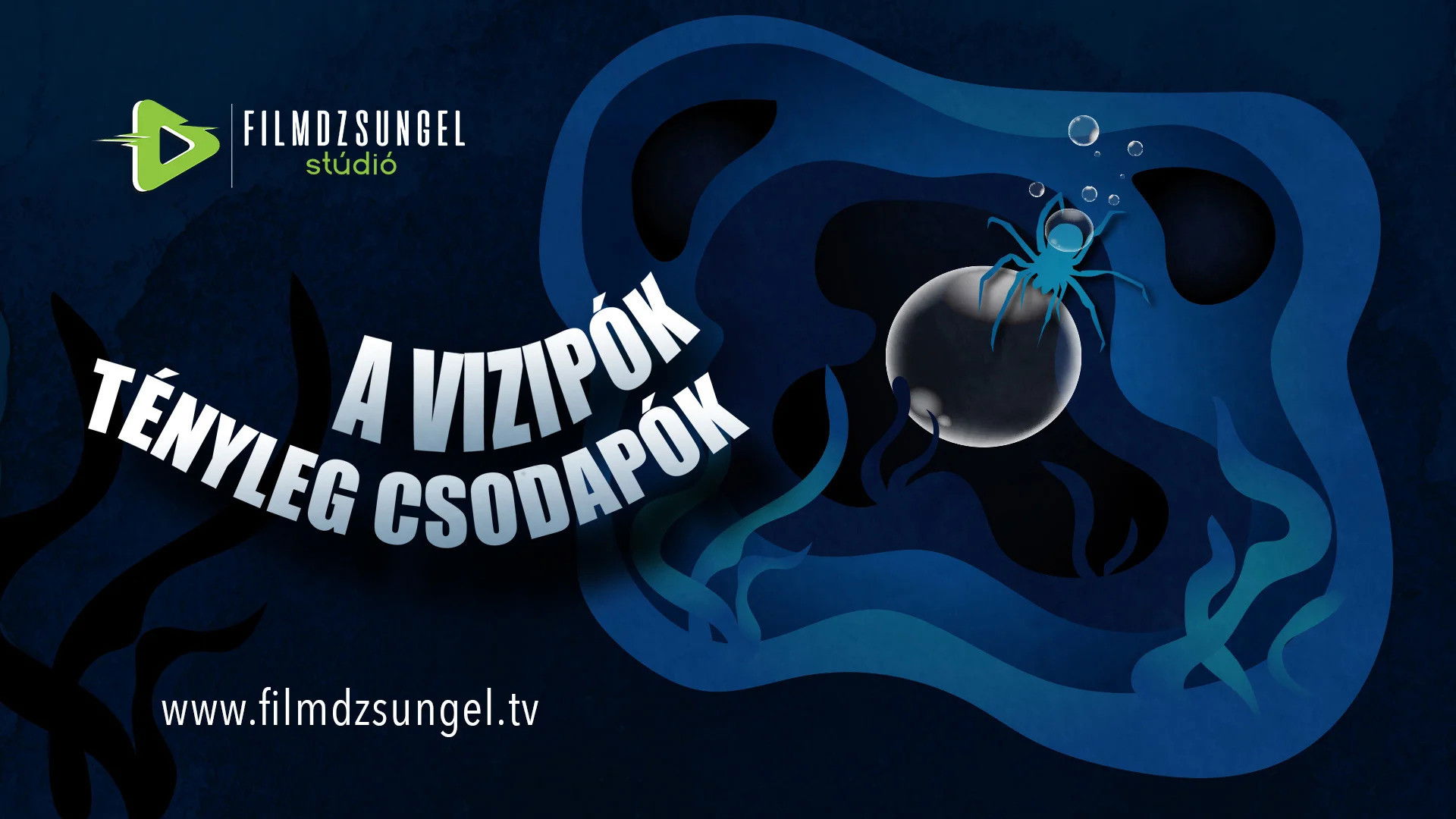 A vízipók tényleg csodapók