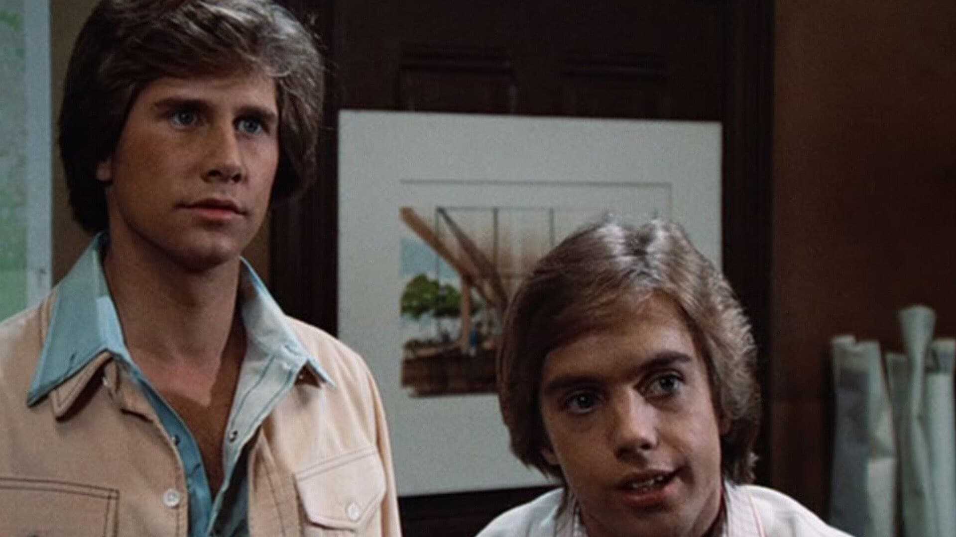 The Hardy Boys / Nancy Drew Mysteries