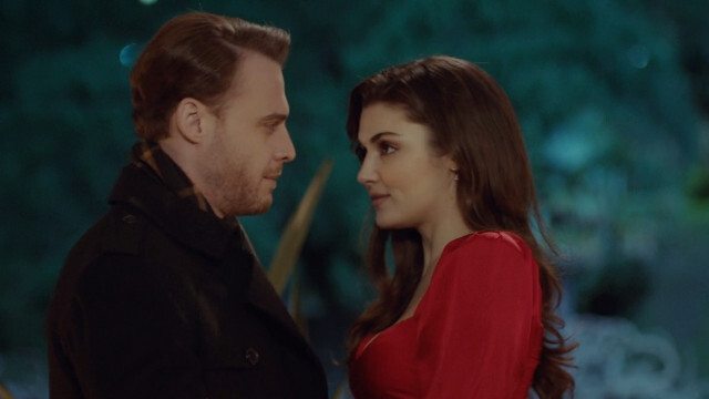 Love Is in the Air
