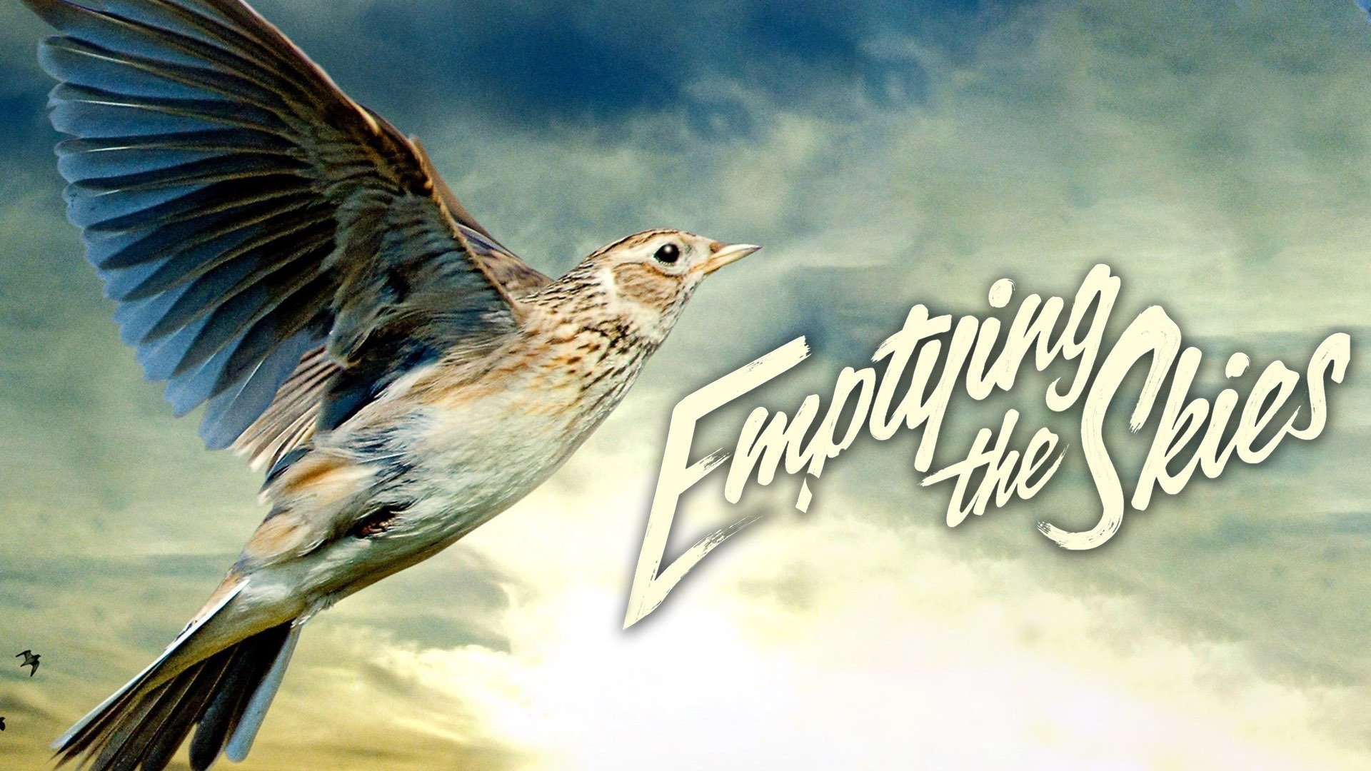 Imagem do Filme Emptying the Skies
