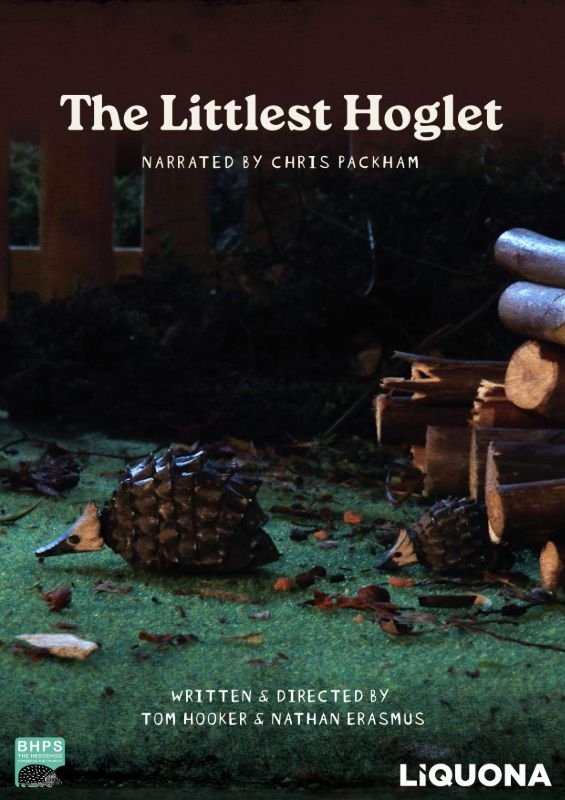 Content cover