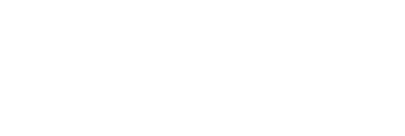 Analog Love Logo
