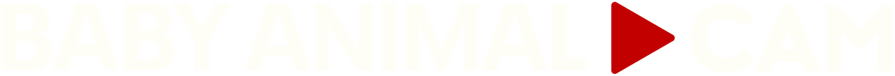 Baby Animal Cam Logo