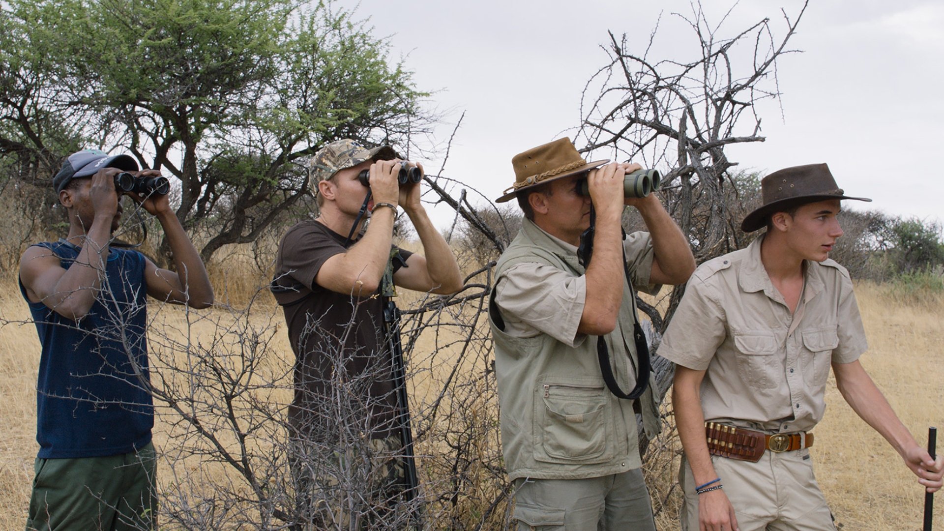 Safari (2016)