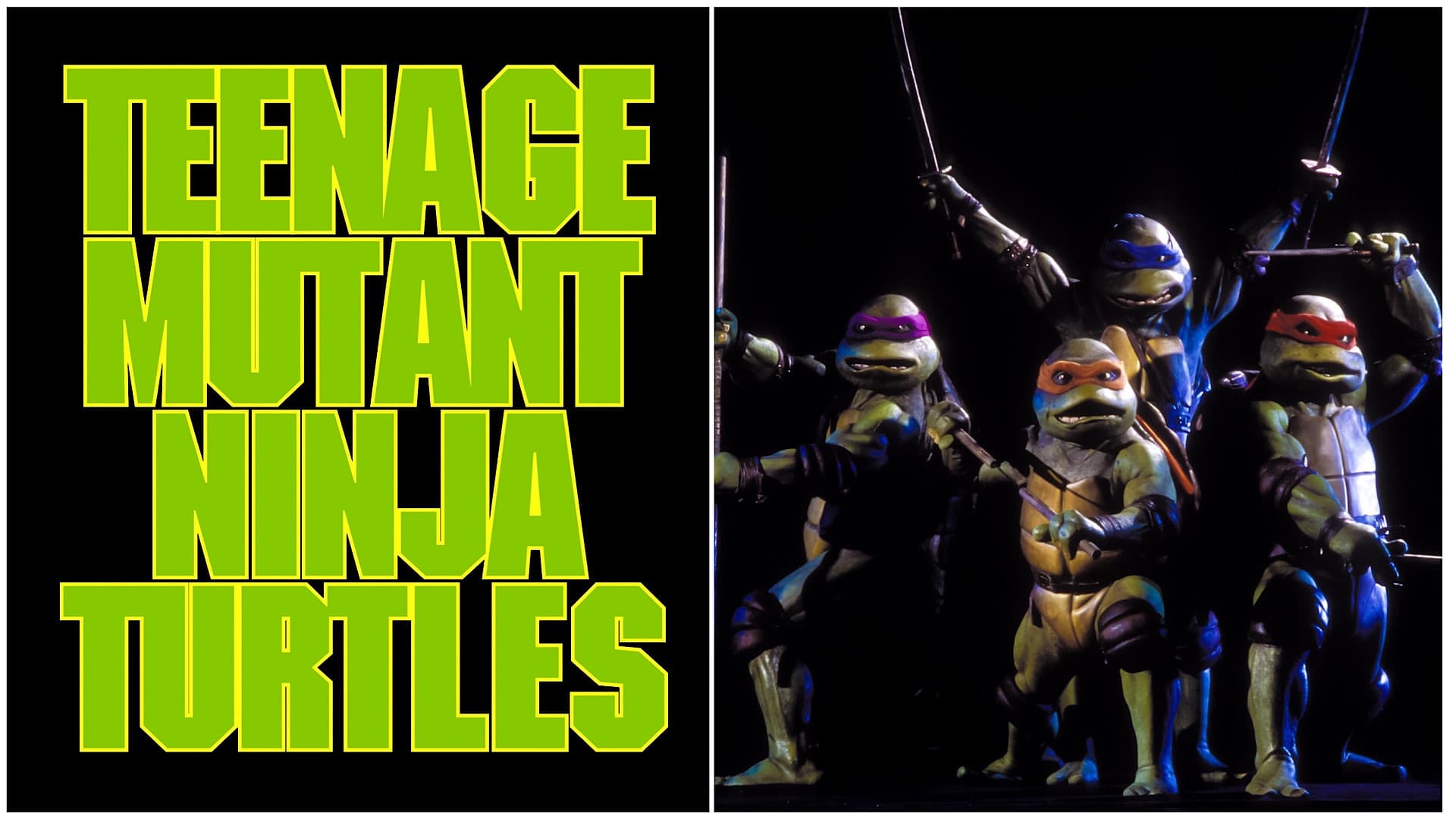 Teenage Mutant Ninja Turtles (1990)