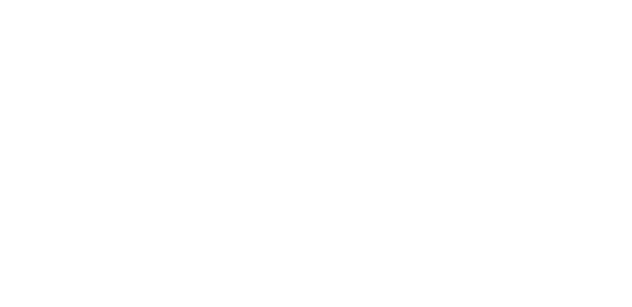 Little Brother