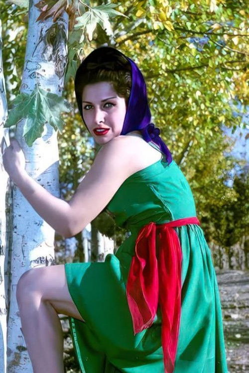 et billede af Zhale Heravi