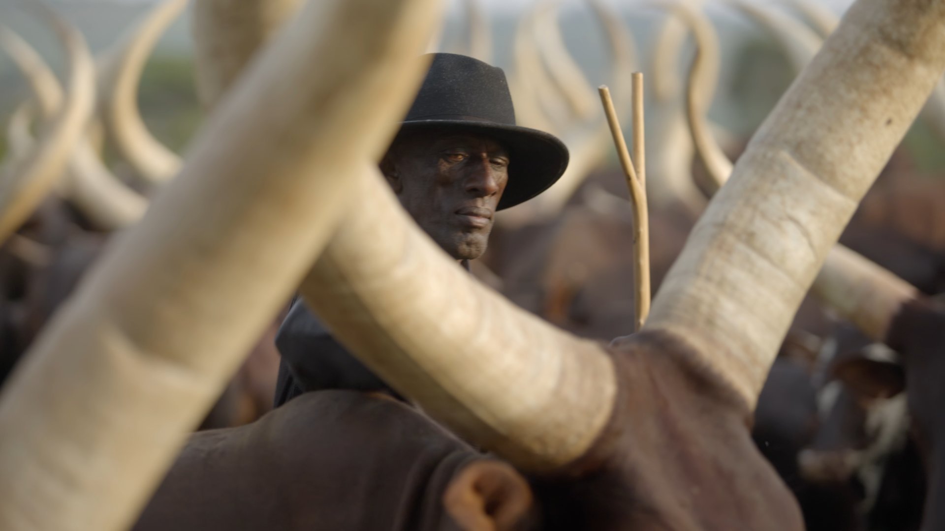 Africa from Above - Épisode 5
