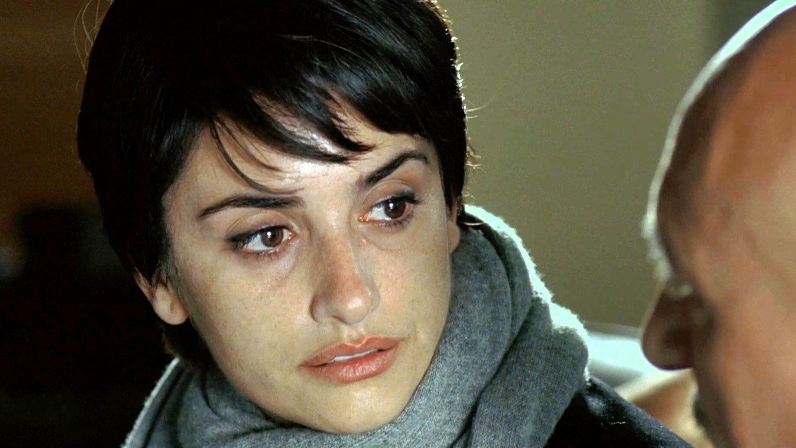 Elegy (2008)