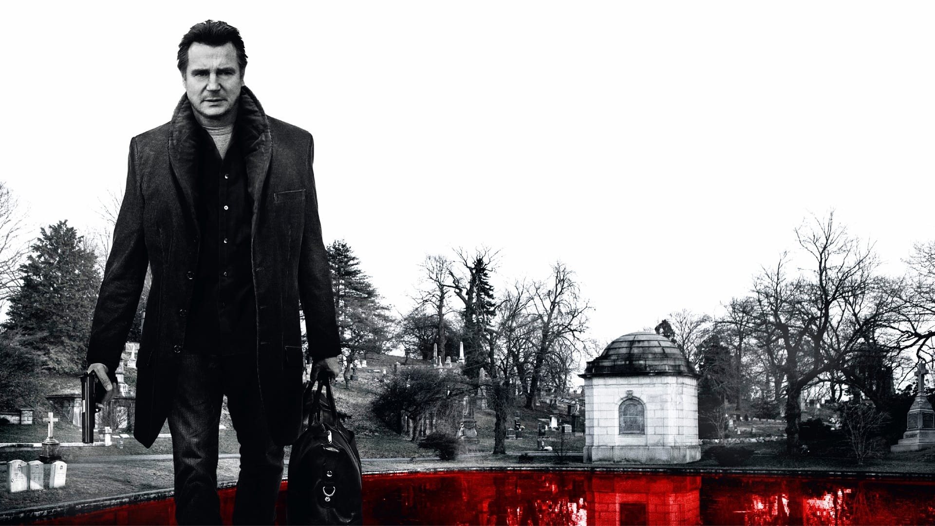 A Walk Among the Tombstones (2014)