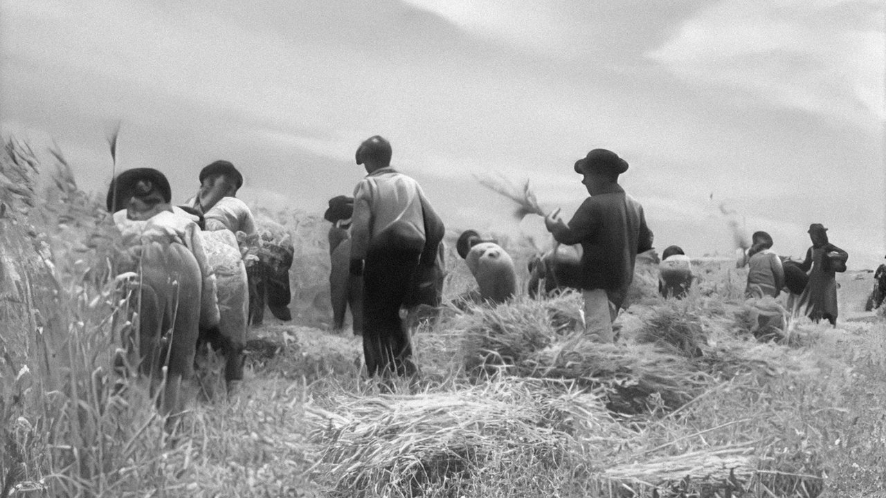 The Wheat and the Tares (1965)