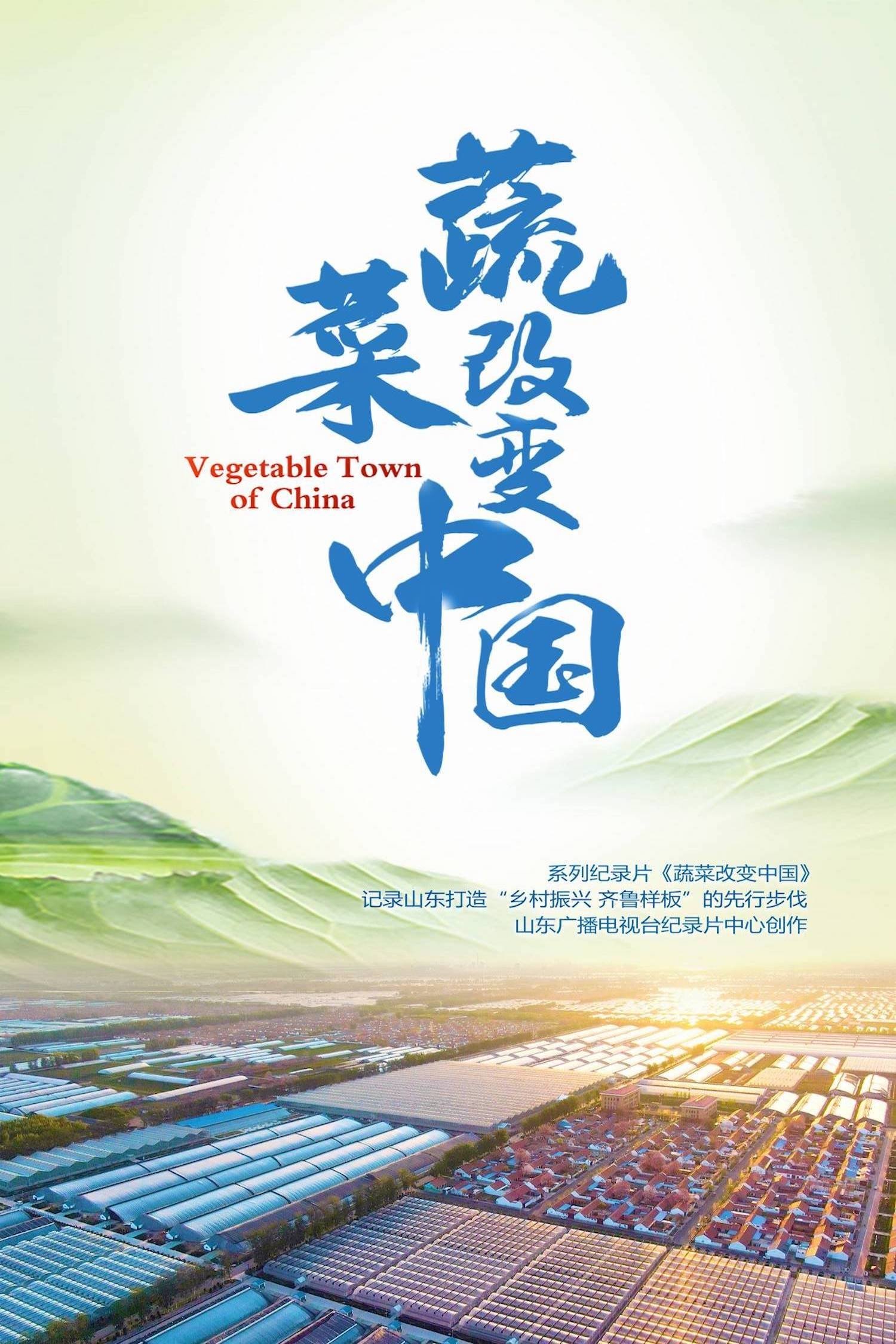 蔬菜改变中国