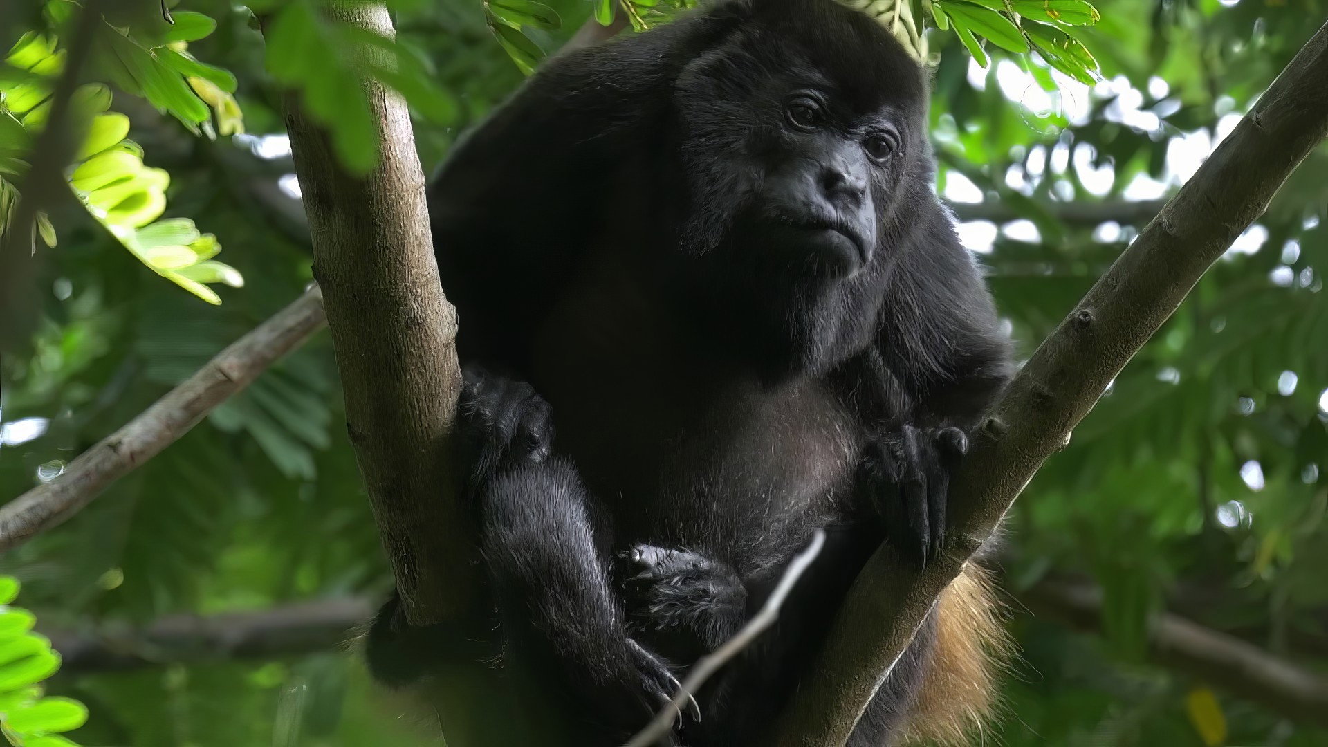 Earth Odyssey with Dylan Dreyer S05E01 backdrop